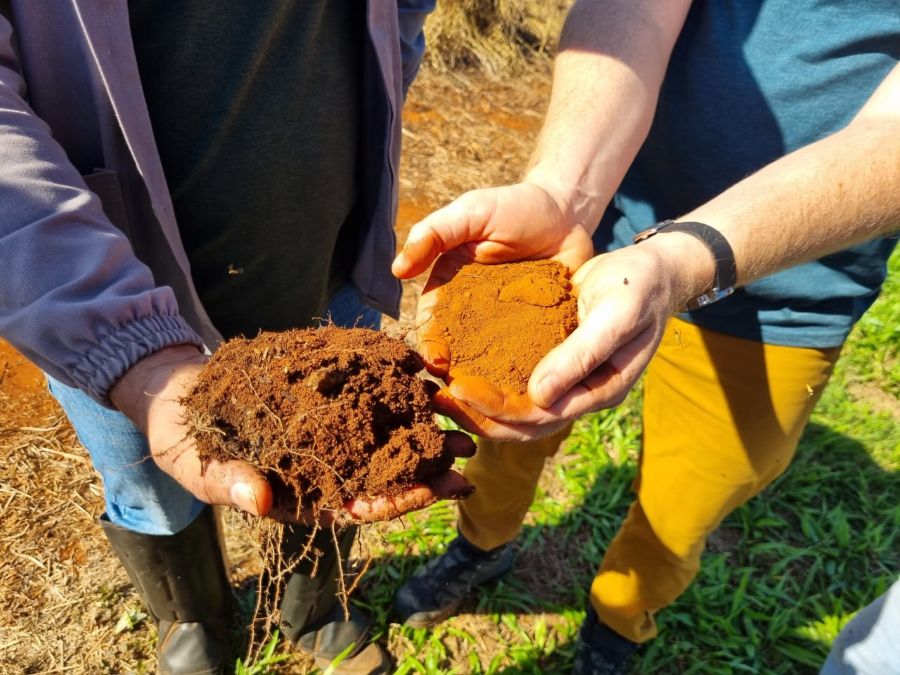 Solo saudável: o grande trabalhador da agricultura brasileira